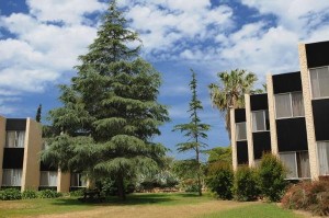 מלון נס עמים