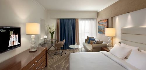 חדר אקזקיוטיב כולל כניסה לטרקלין וספא